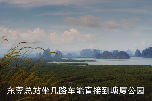 東莞總站到塘廈的公交，從東莞總站怎么坐車去塘廈