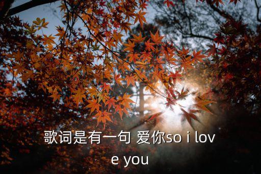 愛你的歌詞，歌詞是有一句 愛你so i love you
