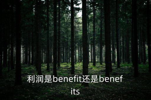 利潤英語，利益的英文怎么說