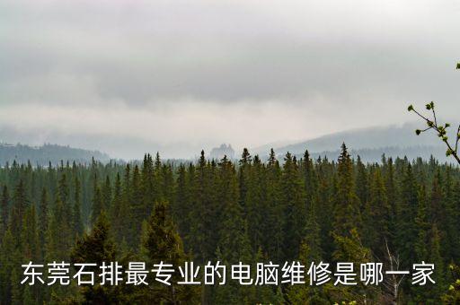 東莞石排最專業(yè)的電腦維修是哪一家