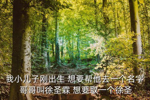 我小兒子剛出生 想要幫他去一個(gè)名字 哥哥叫徐圣霖 想要取一個(gè)徐圣