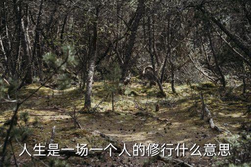 人生是一場一個人的修行什么意思