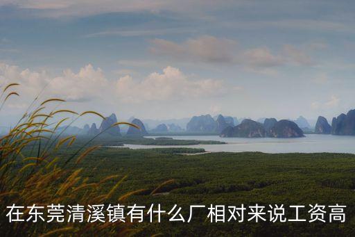 東莞清溪福利廠，東莞清溪鎮(zhèn)三中那些電子廠招工啊工資福利怎么樣進(jìn)廠要什么條件