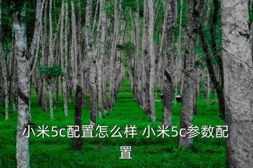 小米5c，小米5C能夠支持使用聯通大王卡嗎或者能用中國聯通卡嗎可以上