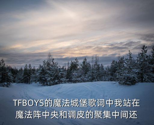 TFBOYS的魔法城堡歌詞中我站在魔法陣中央和調(diào)皮的聚集中間還