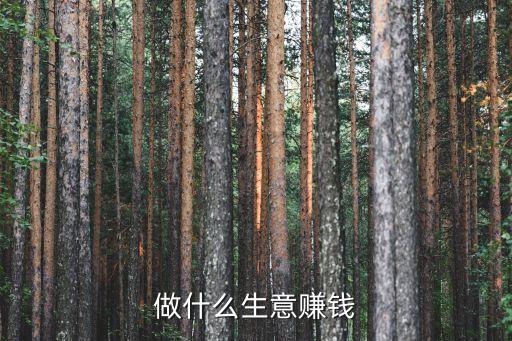 做什么生意賺錢