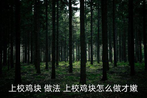 上校雞塊 做法 上校雞塊怎么做才嫩