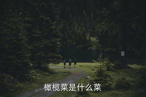 橄欖菜是什么菜
