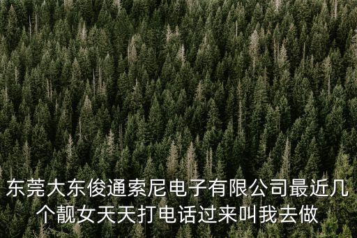 東莞有沒有索尼電子廠，十萬火急東莞常平是否有索尼公司