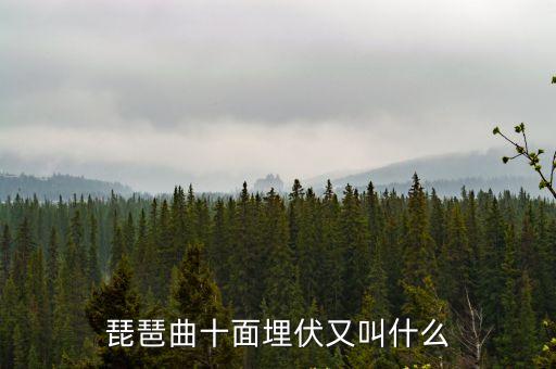 琵琶曲十面埋伏又叫什么