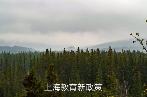 上海市綜合教育整合實施，外地人社保交了7年沒辦居住證孩子可以在上海上小學嗎