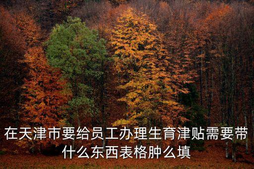 在天津市要給員工辦理生育津貼需要帶什么東西表格腫么填