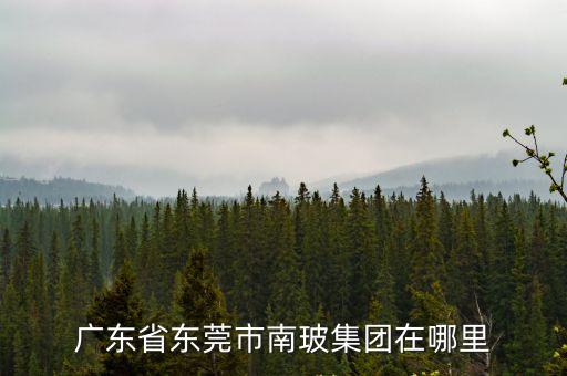 廣東省東莞市南玻集團(tuán)在哪里