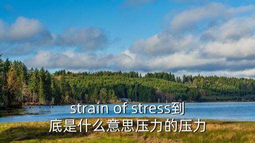 strain of stress到底是什么意思?jí)毫Φ膲毫? class=