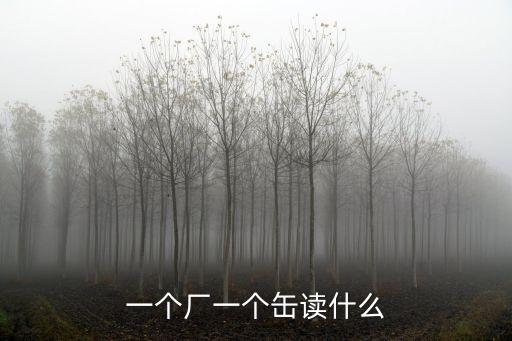 廠怎么讀，廠字頭是讀chng字頭還是n字頭