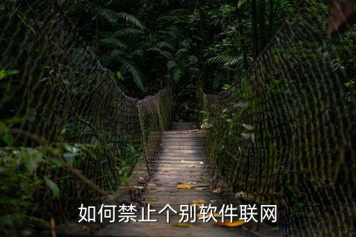 如何禁止個別軟件聯網