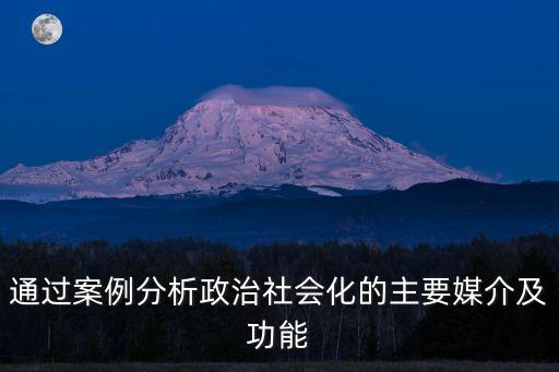 政治社會化，政治社會化的途徑