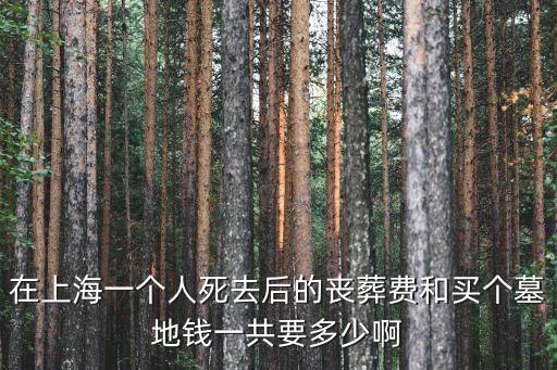 在上海一個人死去后的喪葬費和買個墓地錢一共要多少啊