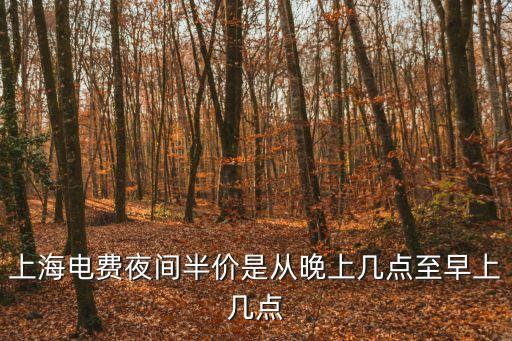 上海市晚上什么時候開始電費半價，上海電費夜間半價是從晚上幾點至早上幾點