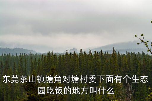 東莞茶山鎮(zhèn)塘角對塘村委下面有個生態(tài)園吃飯的地方叫什么