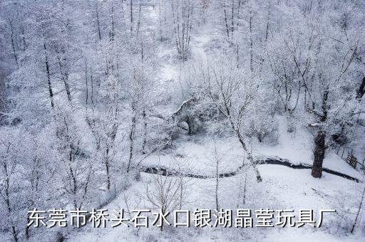 東莞橋頭和立玩具，東莞市橋頭石水口銀湖晶瑩玩具廠