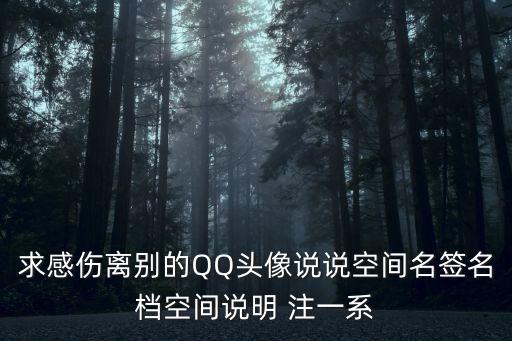 求感傷離別的QQ頭像說(shuō)說(shuō)空間名簽名檔空間說(shuō)明 注一系