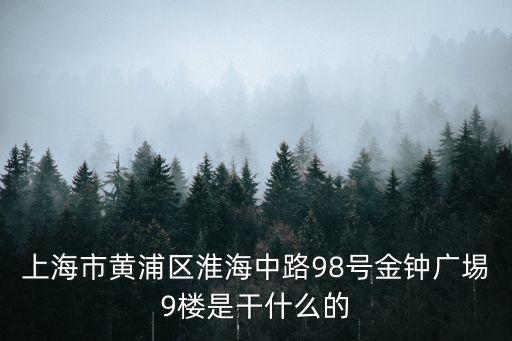 上海市黃浦區(qū)淮海中路98號金鐘廣埸9樓是干什么的