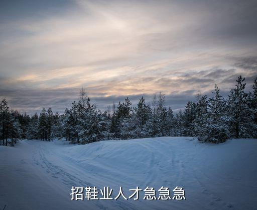 招鞋業(yè)人才急急急
