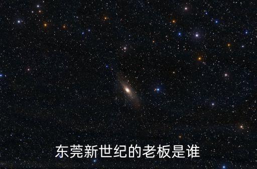 東莞新世紀的老板是誰