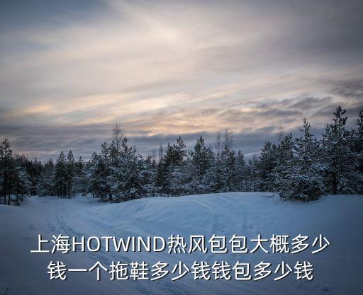 上海HOTWIND熱風包包大概多少錢一個拖鞋多少錢錢包多少錢