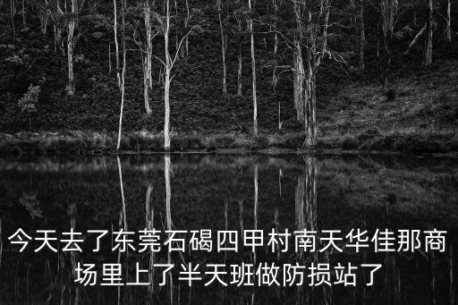 今天去了東莞石碣四甲村南天華佳那商場里上了半天班做防損站了