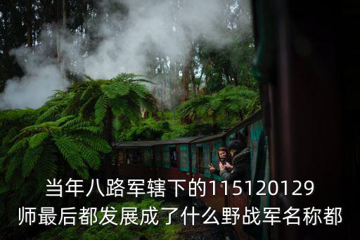當年八路軍轄下的115120129師最后都發展成了什么野戰軍名稱都