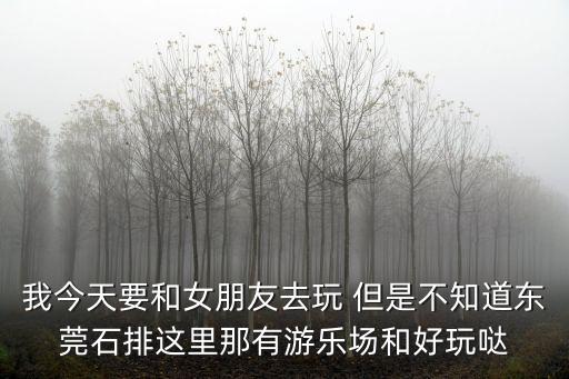 東莞石排華龍花園，東莞石龍華南花園怎么樣