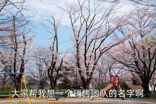大家幫我想一個銷售團隊的名字啊