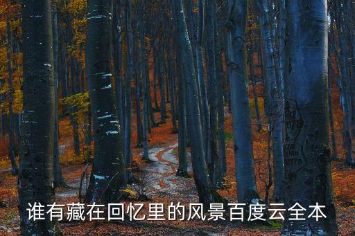誰(shuí)有藏在回憶里的風(fēng)景百度云全本