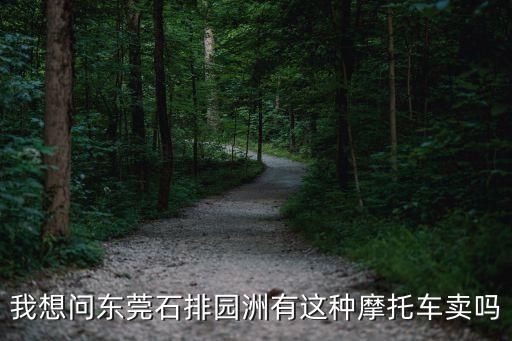 我想問東莞石排園洲有這種摩托車賣嗎