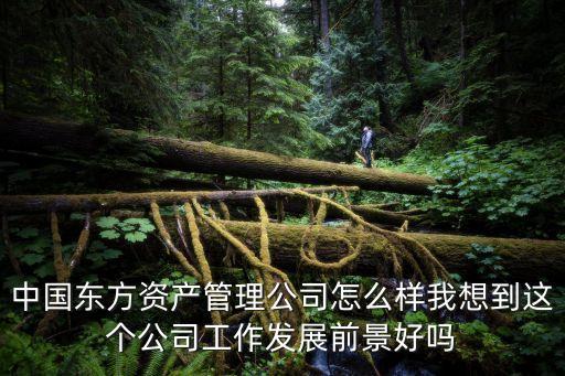 東方資產管理，東方資產管理公司 屬于哪個銀行