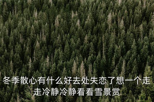 第十七屆上海市中學生時政大賽，中學生時政大賽難考嗎