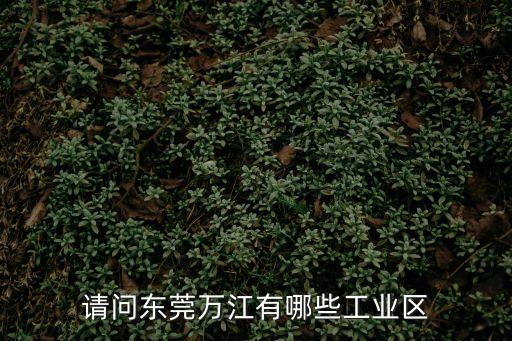 東莞萬江有什么企業，東莞萬江有什么電子廠