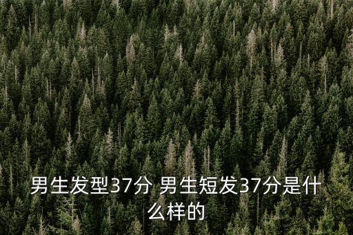 男生發型37分 男生短發37分是什么樣的