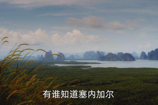 賽內加爾，塞內加爾的人口總數