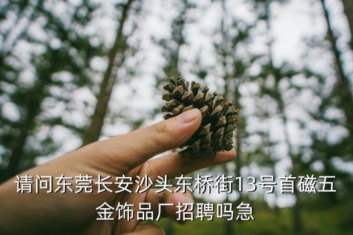 東莞五金飾品最新招聘，東莞謝崗鎮同天五金有限公司招聘