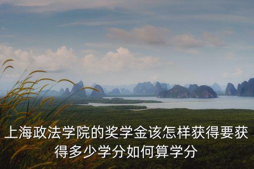 上海政法學院的獎學金該怎樣獲得要獲得多少學分如何算學分