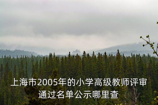 上海市2005年的小學高級教師評審通過名單公示哪里查