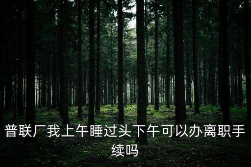 普聯(lián)廠我上午睡過頭下午可以辦離職手續(xù)嗎
