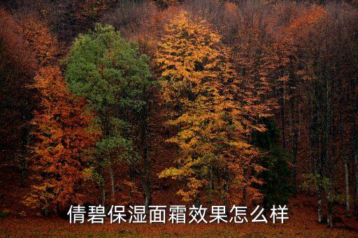 倩碧保濕面霜效果怎么樣