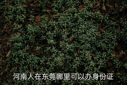 東莞在哪兒辦身份證，東莞辦身份證的地方在哪里
