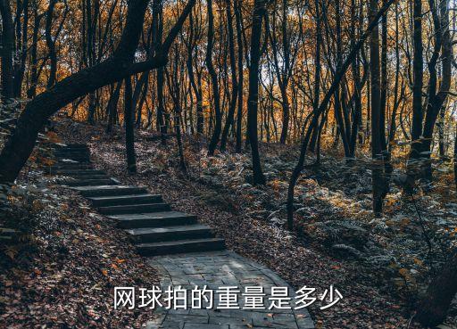 網球拍的重量是多少