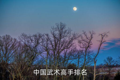 中國武術高手排名