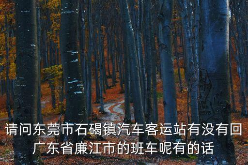 請問東莞市石碣鎮汽車客運站有沒有回廣東省廉江市的班車呢有的話